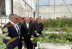 ۶۱ طرح عمرانی، اقتصادی، گردشگری، فرهنگی و اجتماعی در سرعین افتتاح و کلنگ‌زنی شد